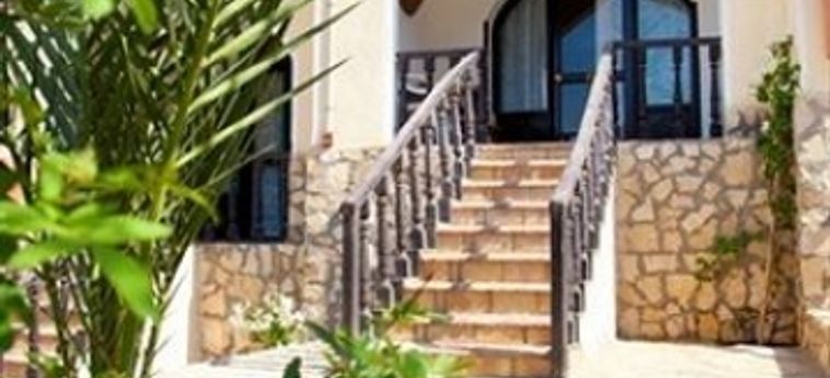 Bedouin Moon Hotel Dahab: Foto 