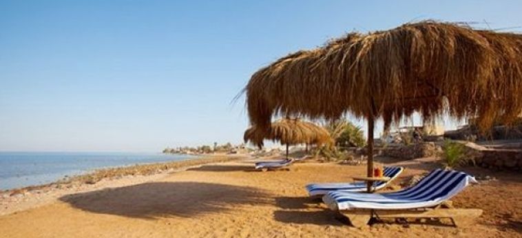 Bedouin Moon Hotel Dahab: Foto 
