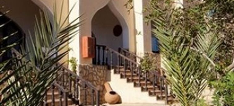 Bedouin Moon Hotel Dahab: Foto 