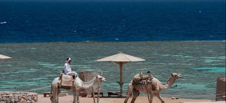 Hotel Daniela Village Dahab Dahab: Foto 