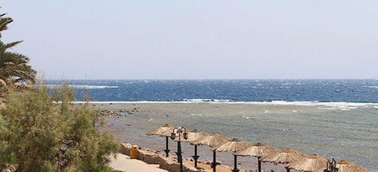 Shams Hotel &Amp; Dive Centre Dahab : Photo 
