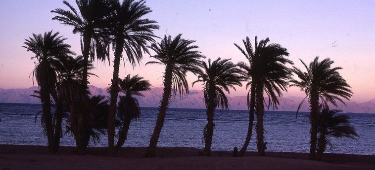 Hotel Star Of Dahab Dahab: Foto 