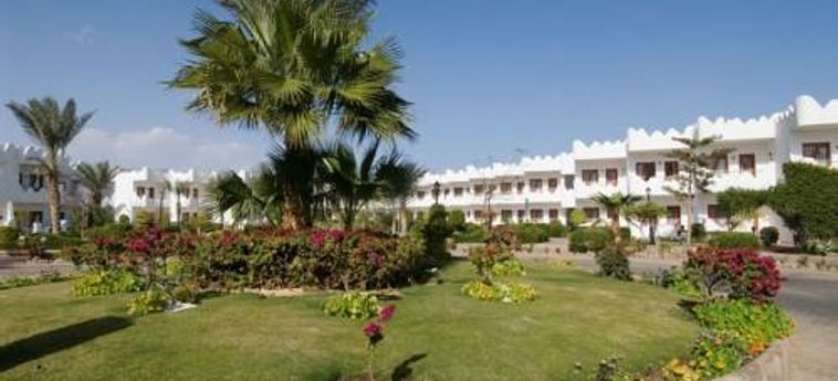 Hotel Swiss Inn Resort Dahab Dahab: Foto 