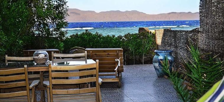 The Cozy Beach House Dahab: Foto 