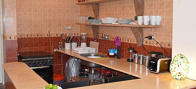 The Cozy Beach House Dahab : Photo 