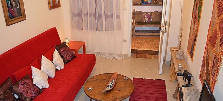 The Cozy Beach House Dahab : Photo 