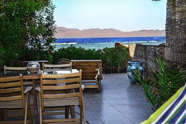 The Cozy Beach House Dahab: Photo 