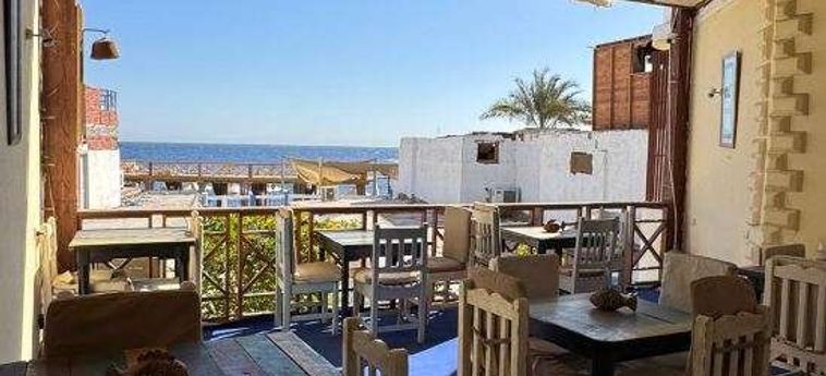Sababa Hotel Dahab: Foto 