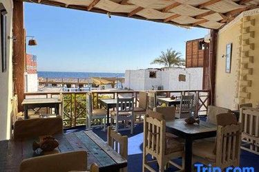 Sababa Hotel Dahab: Photo 