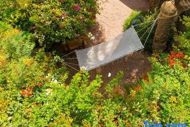 Hotel Beit Theresa Dahab Dahab: Photo 