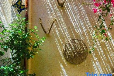 Hotel Beit Theresa Dahab Dahab: Photo 