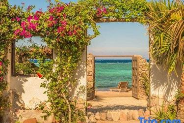 Hotel Beit Theresa Dahab Dahab: Photo 