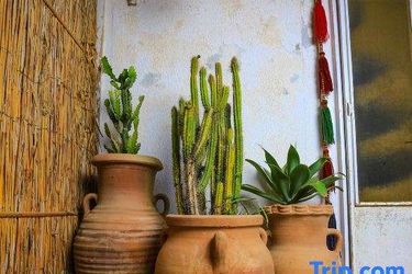 Hotel Beit Theresa Dahab Dahab: Photo 