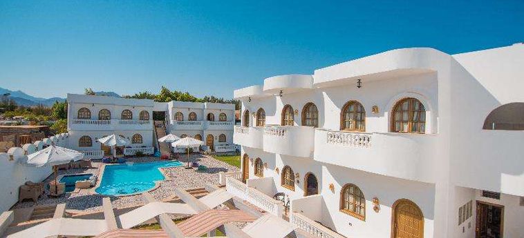 Dahab Holiday Hotel Dahab : Photo 