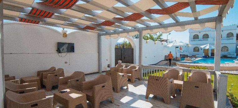 Dahab Holiday Hotel Dahab: Photo 