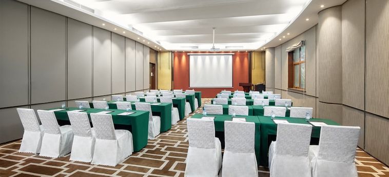 Hotel Holiday Inn Dalian Hot Spring Dalian: Photo 