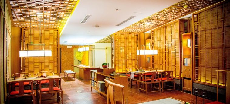 Hotel Holiday Inn Dalian Hot Spring Dalian: Photo 