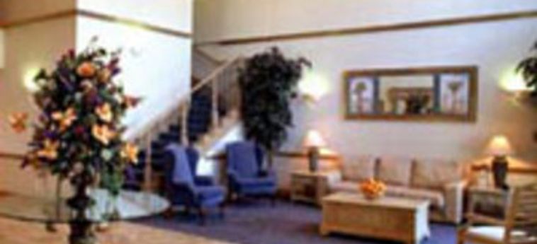 Hotel Best Western Plus Dfw Airport Suites:  DALLAS (TX)