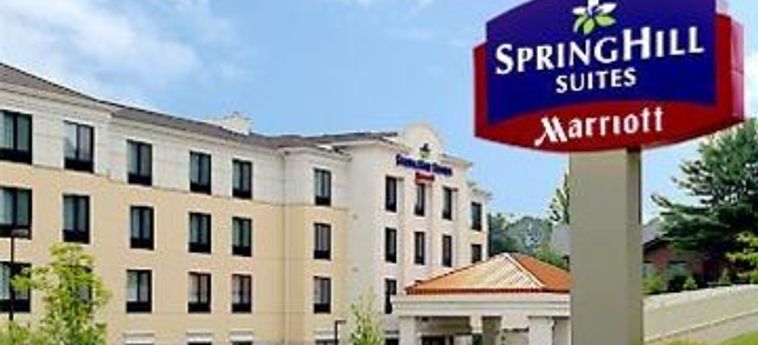 Hotel Springhill Suites Danbury:  DANBURY (CT)