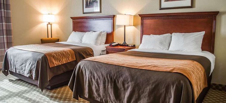 Hotel Comfort Inn & Suites:  DAPHNE (AL)