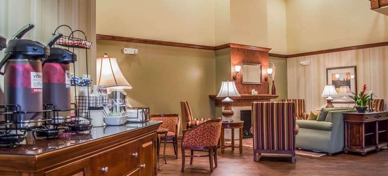 Hotel Comfort Inn & Suites:  DAPHNE (AL)