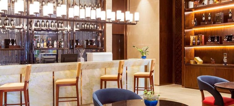Hotel Novotel Daqing Haofang Daqing: Foto 