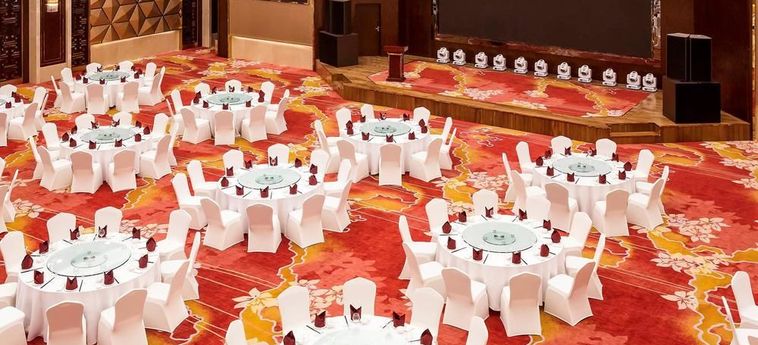 Hotel Novotel Daqing Haofang Daqing: Foto 