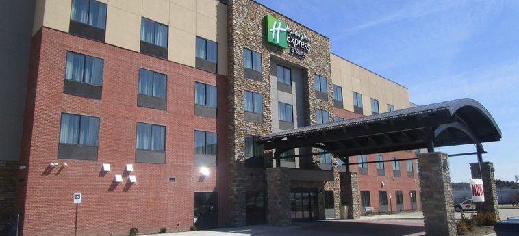 HOLIDAY INN EXPRESS & SUITES DAVENPORT NORTH 2 Stelle