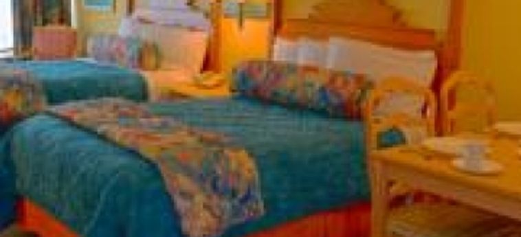 Hotel Sun Viking Lodge:  DAYTONA BEACH (FL)