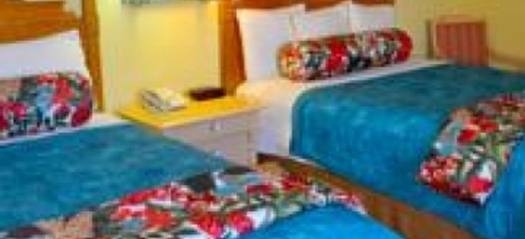 Hotel Sun Viking Lodge:  DAYTONA BEACH (FL)