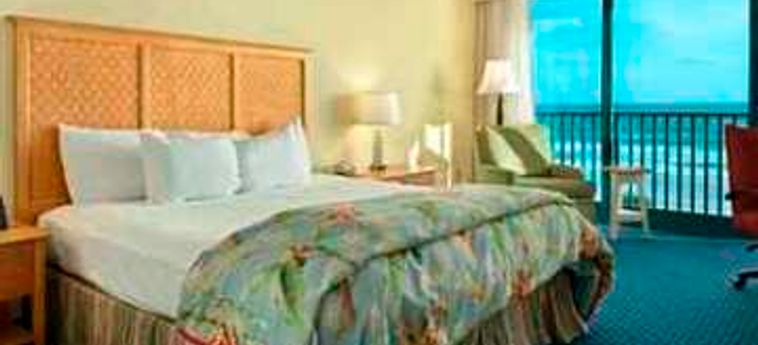 Hotel Hilton Daytona Beach Ocean Front Resort:  DAYTONA BEACH (FL)