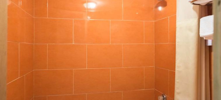 Hotel Econo Lodge Decatur, Ai Decatur (Al): Photo 