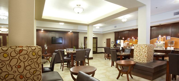 Hotel Holiday Inn Express & Suites Deer Park:  DEER PARK (TX)