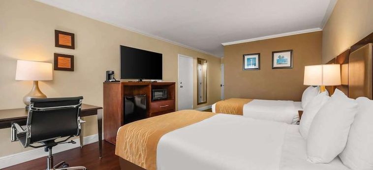 Hotel Comfort Inn Oceanside Deerfield Beach Deerfield Beach (Fl): Foto 