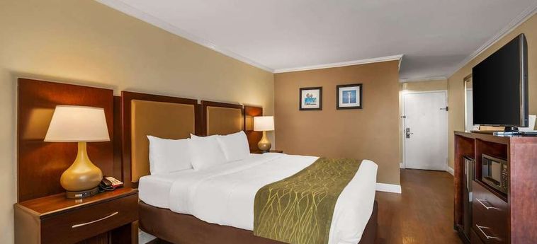 Hotel Comfort Inn Oceanside Deerfield Beach Deerfield Beach (Fl): Foto 