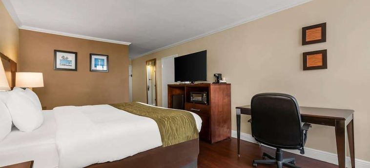 Hotel Comfort Inn Oceanside Deerfield Beach Deerfield Beach (Fl): Foto 
