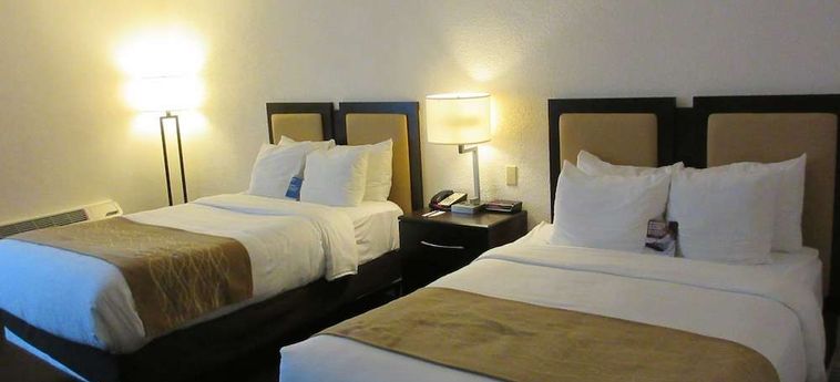 Hotel Comfort Inn Oceanside Deerfield Beach Deerfield Beach (Fl): Foto 