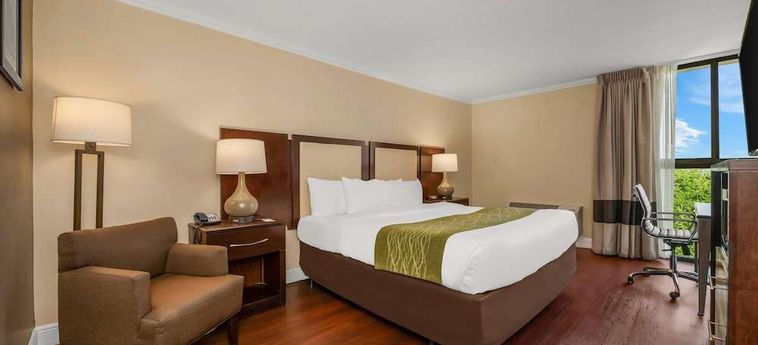 Hotel Comfort Inn Oceanside Deerfield Beach Deerfield Beach (Fl): Foto 