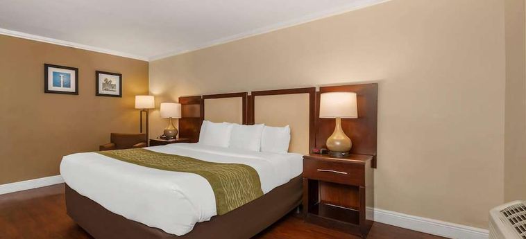 Hotel Comfort Inn Oceanside Deerfield Beach Deerfield Beach (Fl): Foto 