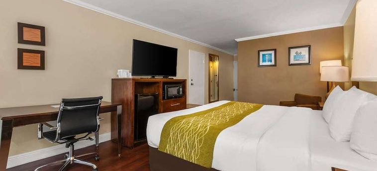 Hotel Comfort Inn Oceanside Deerfield Beach Deerfield Beach (Fl): Foto 