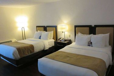 Hotel Comfort Inn Oceanside Deerfield Beach Deerfield Beach (Fl): Photo 