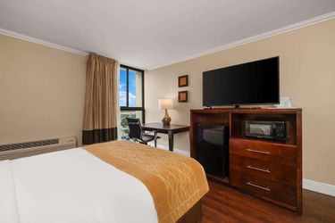 Hotel Comfort Inn Oceanside Deerfield Beach Deerfield Beach (Fl): Photo 