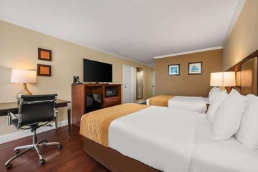 Hotel Comfort Inn Oceanside Deerfield Beach Deerfield Beach (Fl): Photo 