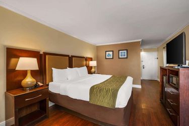 Hotel Comfort Inn Oceanside Deerfield Beach Deerfield Beach (Fl): Photo 