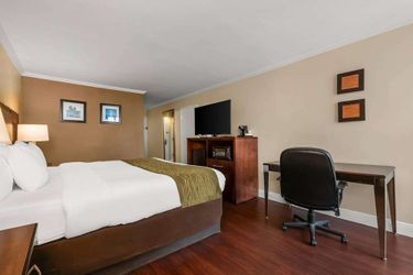 Hotel Comfort Inn Oceanside Deerfield Beach Deerfield Beach (Fl): Photo 
