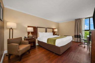 Hotel Comfort Inn Oceanside Deerfield Beach Deerfield Beach (Fl): Photo 