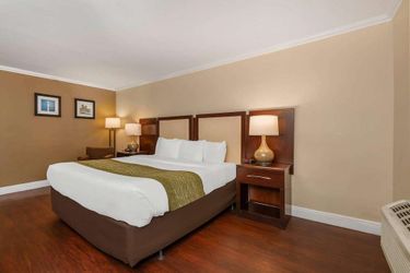 Hotel Comfort Inn Oceanside Deerfield Beach Deerfield Beach (Fl): Photo 