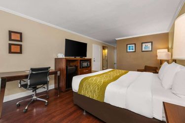Hotel Comfort Inn Oceanside Deerfield Beach Deerfield Beach (Fl): Photo 