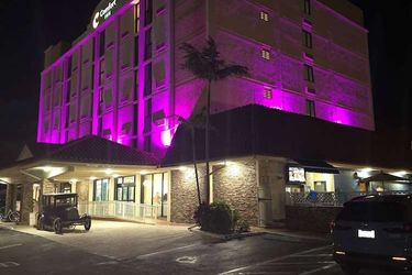 Hotel Comfort Inn Oceanside Deerfield Beach Deerfield Beach (Fl): Photo 