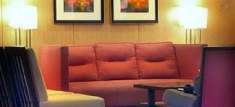Hotel Embassy Suites By Hilton Chicago North Shore Deerfield:  DEERFIELD (IL)